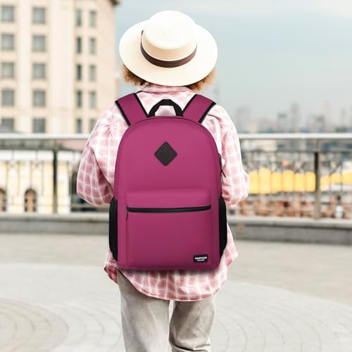 Laptop Backpack