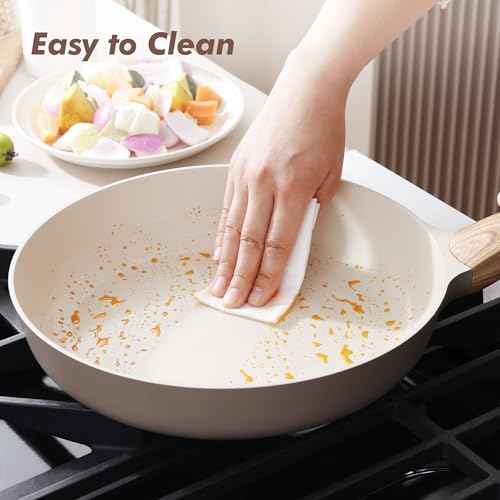11inch Ceramic Nonstick Frying Pan Paella Pan with Lid