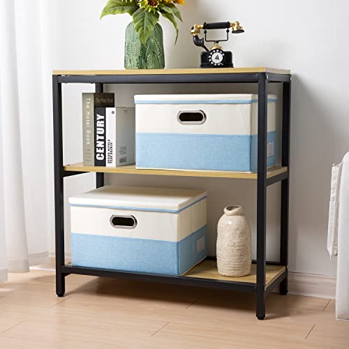 Large Foldable Storage Boxes with Lids [3 (3 Count)