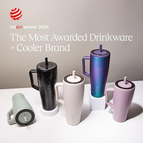 Era 30 oz Tumbler with Handle and Straw
