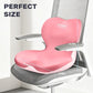 Car Seat Cushion and Lumbar Support Pillow One Piece