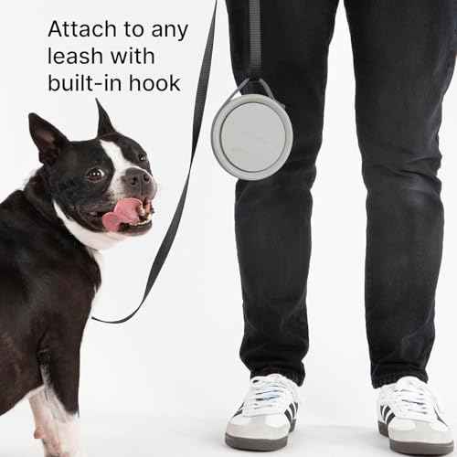 Nomad Small Collapsible Travel Dog Bowl