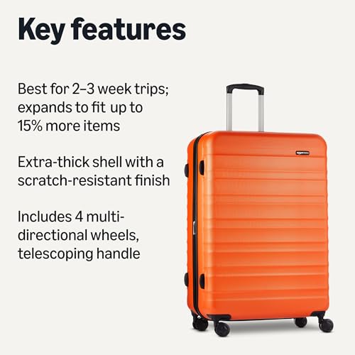 30" Hardside Large Checked Luggage