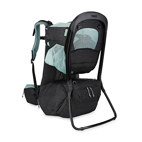 Sapling Child Carrier Backpack