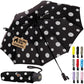 Compact Travel Size Umbrella for Rain