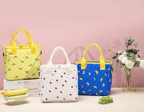Cute Strawberry Lunch Box for Women Lunch Bags for Work Small Insulated LunchBag for Picnic Travel Shopping