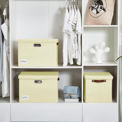 17" Large Collapsible Storage Bins with Lids (3 Count)
