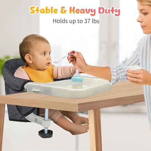 Hook On High Chair with Tray