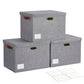 17" Large Fabric Storage Box with Lids (3 Count)