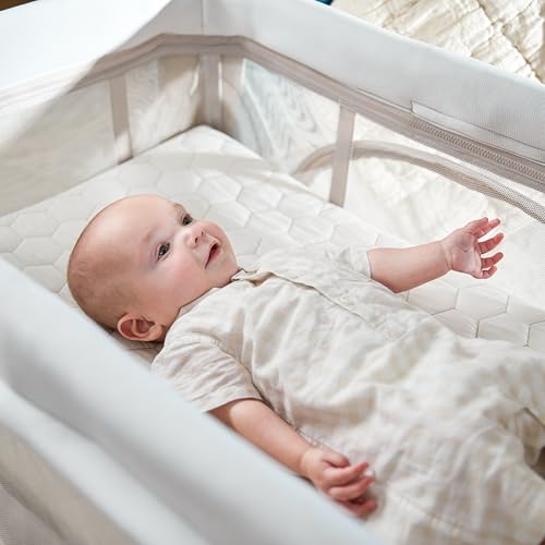 Calao Travel Playard