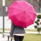 Windproof Compact Umbrellas for Rain