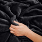 Travel Blanket and Pillow