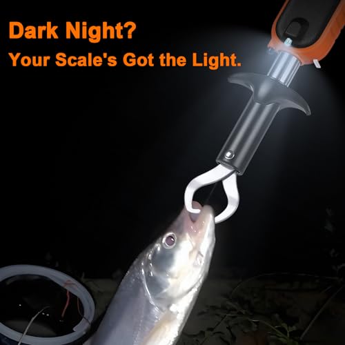 Fish Scale Professional Fishing Scale