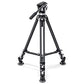LVC 193C Carbon Fiber Twin Leg Video Tripod+BV