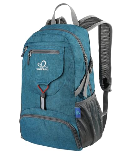 Small Lightweight Packable Backpack