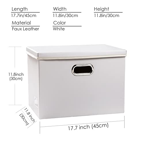 Large Collapsible Storage Box with Lid [1