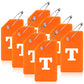 8 Pack Initial Luggage Tags for Suitcases Airplane Travel Essentials (8 Count)