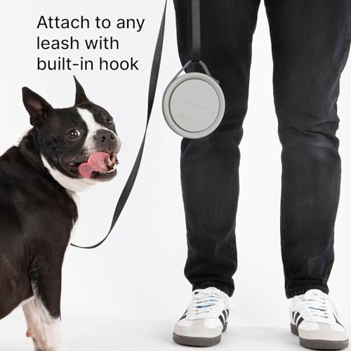Nomad Small Collapsible Travel Dog Bowl