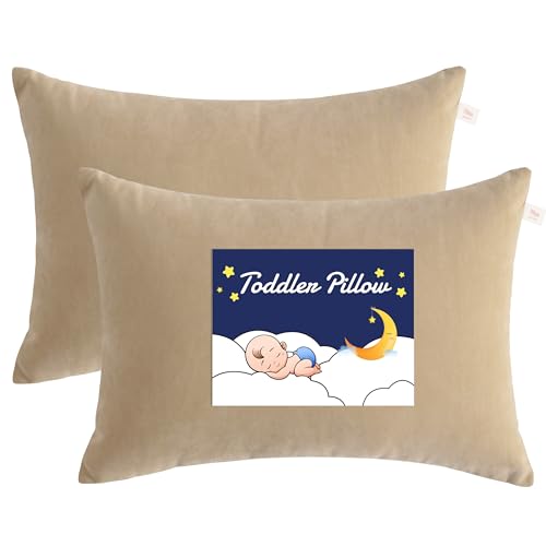 Toddler Pillows (2 Count)