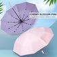 Folding Umbrella Anti