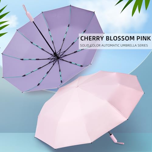 Folding Umbrella Anti