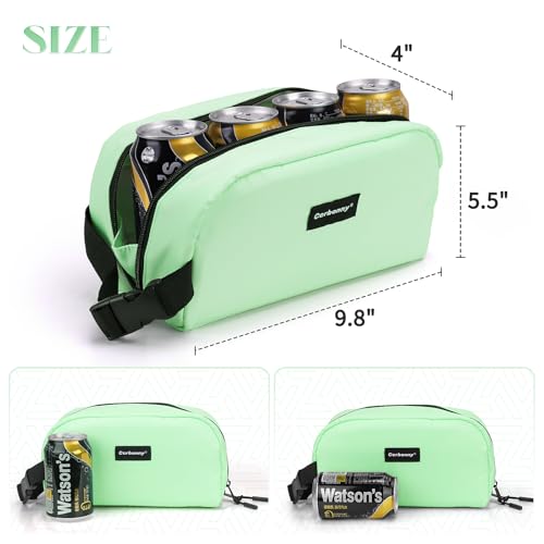 Small Cooler Bag