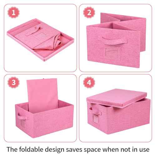 Storage Bins With Lids Closet Organizer Cabinet Box For Clothes (2 Count)