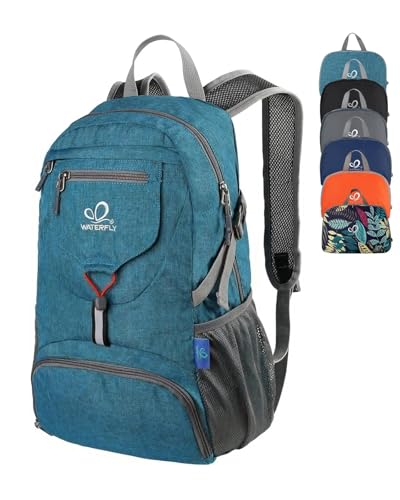 Small Lightweight Packable Backpack