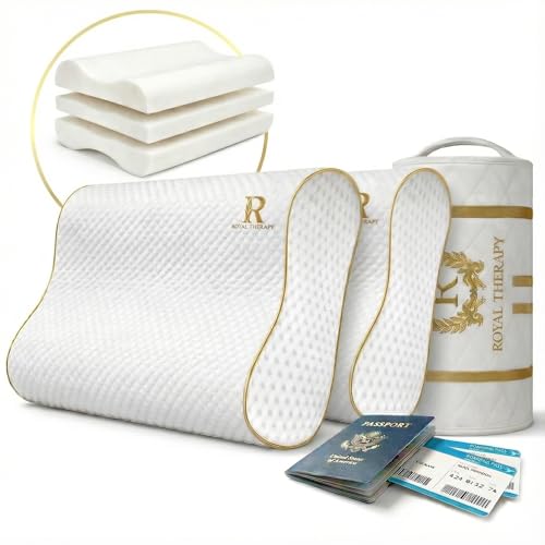 2 Pack Travel Memory Foam Pillow (2 Count)