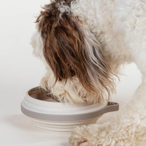 Nomad Large Collapsible Travel Dog Bowl