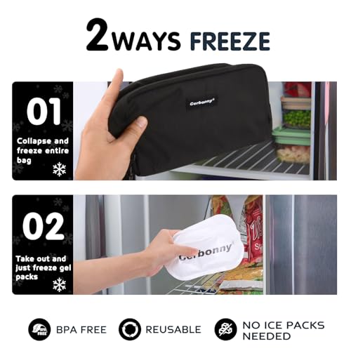 Small Cooler Bag