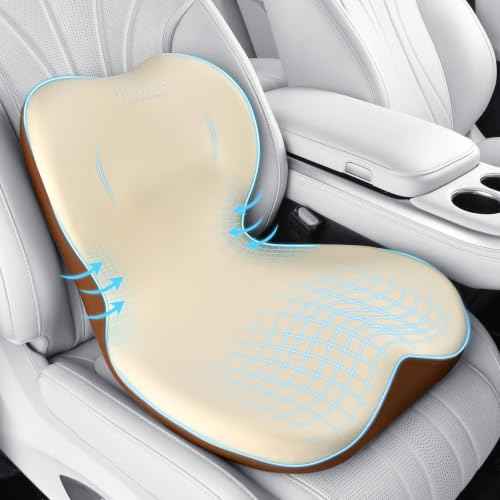 Car Seat Cushion and Lumbar Support Pillow One Piece