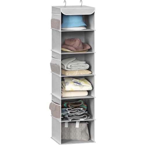 6 Shelf Hanging Closet Organizer