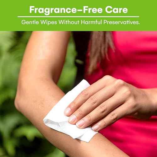 Hand Sanitizer Wipes (210 Count)