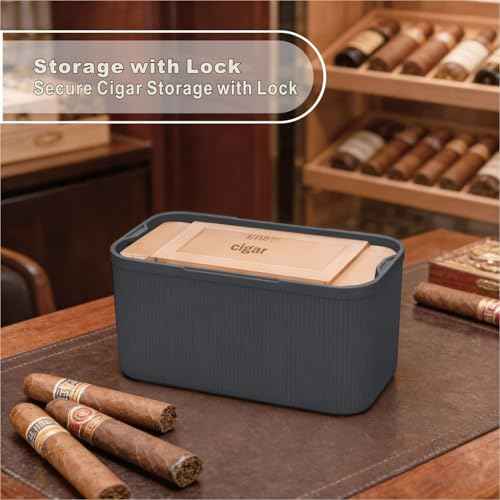Lockable Storage Box