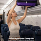 Carry On Luggage 22x14x9 Airline Approved with Spinner Wheels
