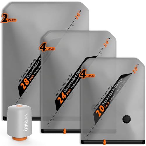 Rechargeable Wireless Vacuum Pump + 10 Storage Bags (11 Count)