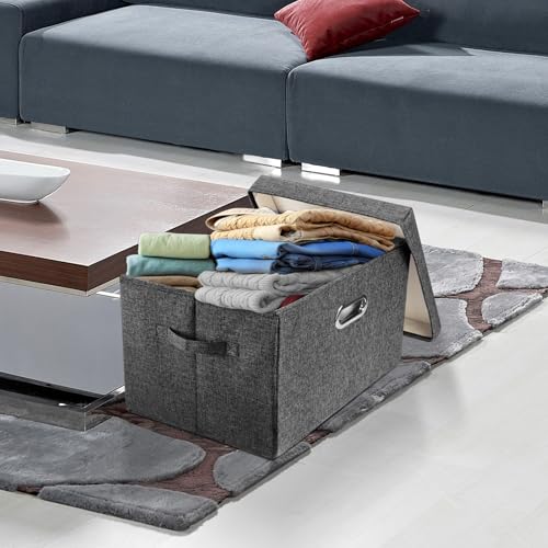 Large Storage Bins with Lids (2 Count)