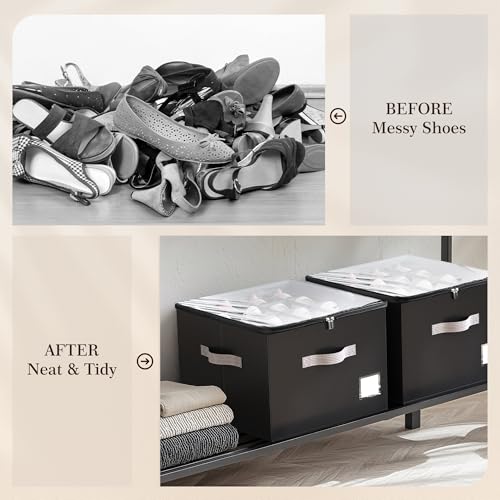 Shoe Organizer for Closet (2 Count)