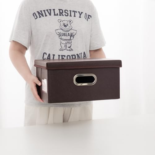 Collapsible Storage Box with Lid [3 (3 Count)