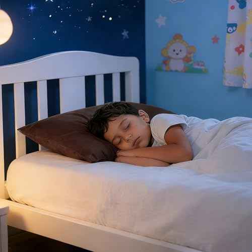 Toddler Pillows with Pillowcases Set (2 Count)