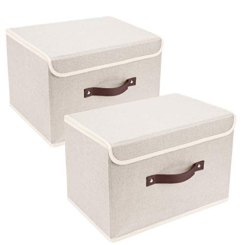 Collapsible Storage Boxes (2 Count)