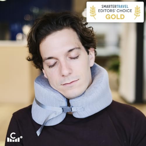 Travel Pillow