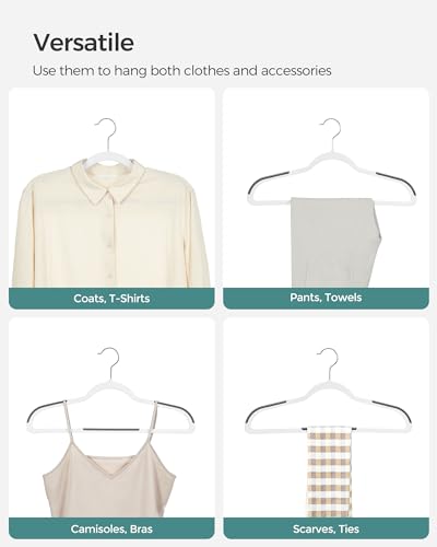 Plastic Clothes Hangers (30 Count)