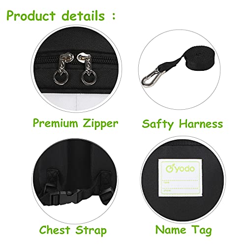 Kids Insulated Toddler Backpack with Leash & Name Label