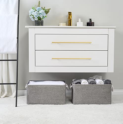 Large Storage Bins Basket (2 Count)