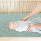 Baby Fitted Crib Sheets (2 Count)