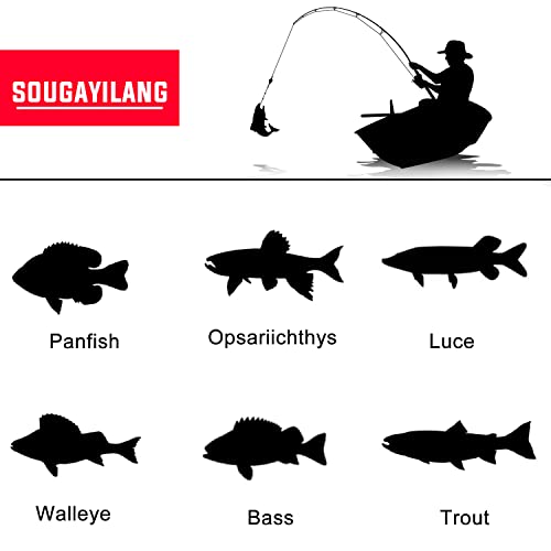Fishing Rod and Reel Combo Set with Telescopic Fishing Pole Fishing Accessories and Carrier Bag for Saltwater Freshwater