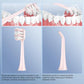 Electric Toothbrush with Water flosser
