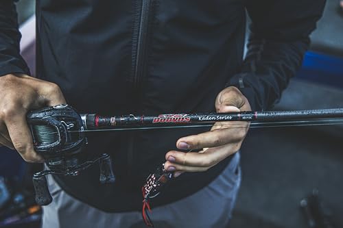 Kaden Travel SWIMBAIT